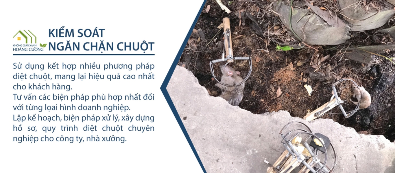 KIỂM SOÁT NGĂN CHẶN CHUỘT