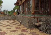 Diệt mối tận gốc tại Bình Thuận Diệt mối tận gốc tại Bình Thuận