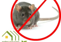 QUY TRÌNH DIỆT CHUỘT TẠI NHÀ MÁY AN TOÀN VÀ HIỆU QUẢ QUY TRÌNH DIỆT CHUỘT TẠI NHÀ MÁY AN TOÀN VÀ HIỆU QUẢ