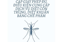 Cơ sở pháp lý đủ điều kiện cung cấp dịch vụ diệt côn trùng, diệt khuẩn bằng chế phẩm Cơ sở pháp lý đủ điều kiện cung cấp dịch vụ diệt côn trùng, diệt khuẩn bằng chế phẩm