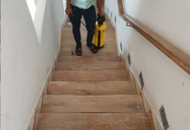 Diệt mối tận gốc tại Tiền Giang Diệt mối tận gốc tại Tiền Giang