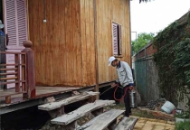 Diệt mối tận gốc tại Thái Nguyên Diệt mối tận gốc tại Thái Nguyên