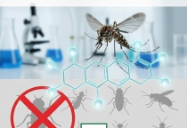 Hoạt Chất Alpha-Cypermethrin: Giải Pháp Tiêu Diệt Côn Trùng An Toàn & Hiệu Quả Hoạt Chất Alpha-Cypermethrin: Giải Pháp Tiêu Diệt Côn Trùng An Toàn & Hiệu Quả