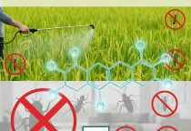 Hoạt Chất Bifenthrin: Thuốc Trừ Sâu Phổ Rộng & Kiểm Soát Côn Trùng Tận Gốc Hoạt Chất Bifenthrin: Thuốc Trừ Sâu Phổ Rộng & Kiểm Soát Côn Trùng Tận Gốc