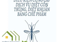 HỒ SƠ - QUY TRÌNH THỰC HIỆN DIỆT CÔN TRÙNG CÔNG TY HOÀNG CƯỜNG HỒ SƠ - QUY TRÌNH THỰC HIỆN DIỆT CÔN TRÙNG CÔNG TY HOÀNG CƯỜNG