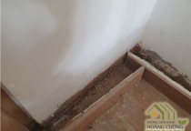 Diệt mối tận gốc tại Quảng Ngãi Diệt mối tận gốc tại Quảng Ngãi