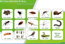 CÁC PHƯƠNG PHÁP KIỂM SOÁT CÔN TRÙNG DỊCH HẠI HIỆN NAY CÁC PHƯƠNG PHÁP KIỂM SOÁT CÔN TRÙNG DỊCH HẠI HIỆN NAY