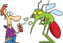 Dịch vụ diệt muỗi Dịch vụ diệt muỗi