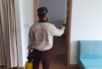 Diệt mối tận gốc tại Đồng Tháp Diệt mối tận gốc tại Đồng Tháp
