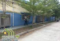 XỬ LÝ CÔN TRÙNG- KIỂM SOÁT SINH VẬT GÂY HẠI XỬ LÝ CÔN TRÙNG- KIỂM SOÁT SINH VẬT GÂY HẠI