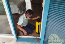 Diệt mối tận gốc tại Hưng Yên Diệt mối tận gốc tại Hưng Yên