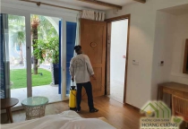 Diệt mối tận gốc tại Hậu Giang Diệt mối tận gốc tại Hậu Giang