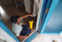 Diệt mối tận gốc tại Hải Dương Diệt mối tận gốc tại Hải Dương