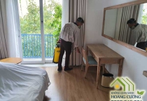Diệt mối tận gốc tại Hà Nội Diệt mối tận gốc tại Hà Nội