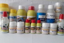 Danh Mục Thuốc Phòng Chống Mối Công Trình Danh Mục Thuốc Phòng Chống Mối Công Trình