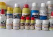 NHÀ PHÂN PHỐI THUỐC PHÒNG CHỐNG MỐI CÔNG TRÌNH TOÀN QUỐC NHÀ PHÂN PHỐI THUỐC PHÒNG CHỐNG MỐI CÔNG TRÌNH TOÀN QUỐC