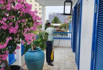 Diệt mối tận gốc tại Đắk Nông Diệt mối tận gốc tại Đắk Nông