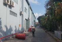 Dịch vụ diệt muỗi tại TPHCM Dịch vụ diệt muỗi tại TPHCM