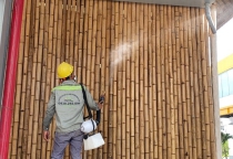 Dịch vụ diệt mọt tại Hà Nội Dịch vụ diệt mọt tại Hà Nội