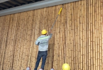 Dịch vụ diệt mọt tại TPHCM Dịch vụ diệt mọt tại TPHCM