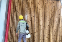 Dịch vụ diệt mọt tại Tây Ninh Dịch vụ diệt mọt tại Tây Ninh