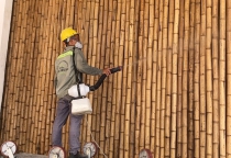 Dịch vụ diệt mọt tại Long An Dịch vụ diệt mọt tại Long An