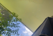 Dịch vụ bắt ong tại Đồng Nai