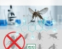 Hoạt Chất Alpha-Cypermethrin: Giải Pháp Tiêu Diệt Côn Trùng An Toàn & Hiệu Quả