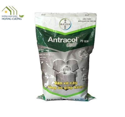 THUỐC TRỪ BỆNH  ANTRACOL 70WP - 1kg
