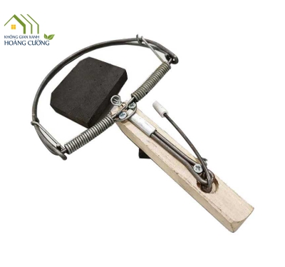 BẪY CHUỘT BÁN NGUYỆT