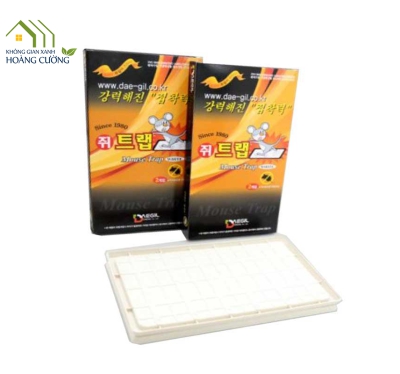 BẪY CHUỘT KHAY NHỰA