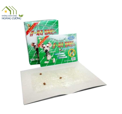 BẪY DÍNH CHUỘT MỎNG B