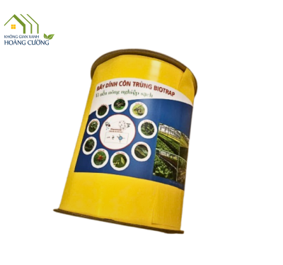 BẪY DÍNH CÔN TRÙNG BIOTRAP 15cmx100m 