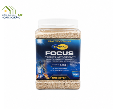 FOCUS TERMITE ATTRACTANT - CHẤT DẪN DỤ MỐI