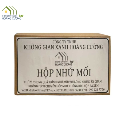 HỘP NHỬ MỐI (6 HỘP)