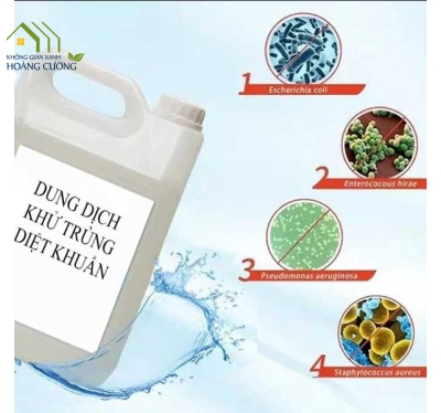 KHỬ TRÙNG DIỆT KHUẨN