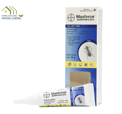 THUỐC DIỆT KIẾN MAXFORCE QUANTUM 0.03% (30G)