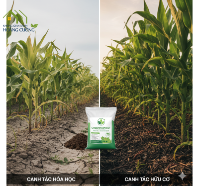 PHÂN BÓN HỮU CƠ