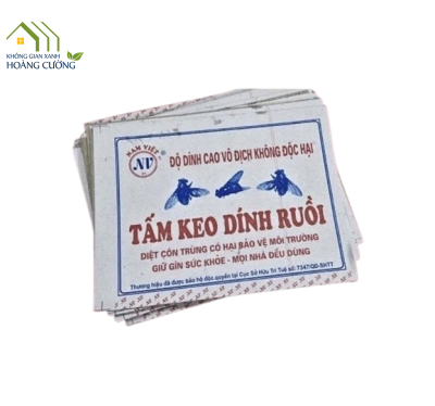 TẤM KEO RUỒI