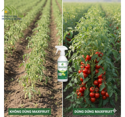 THUỐC ĐIỀU HÒA SINH TRƯỞNG