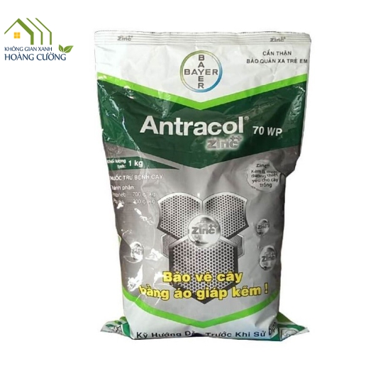 THUỐC TRỪ BỆNH  ANTRACOL 70WP - 1kg