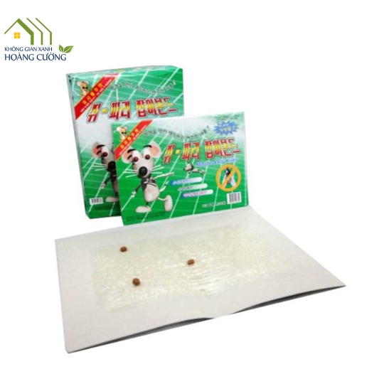 BẪY DÍNH CHUỘT MỎNG B
