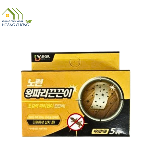 BẪY RUỒI- THẰN LẰN