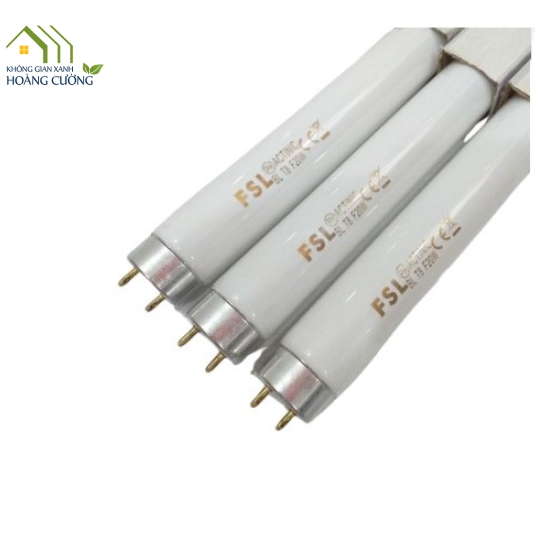 BÓNG ĐÈN FSL 20W