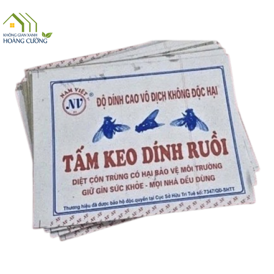TẤM KEO RUỒI