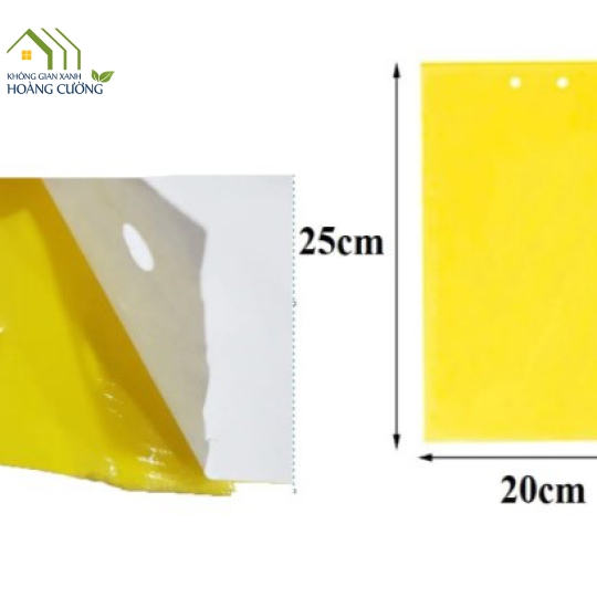 TẤM KEO VÀNG BẪY CÔN TRÙNG 2 MẶT