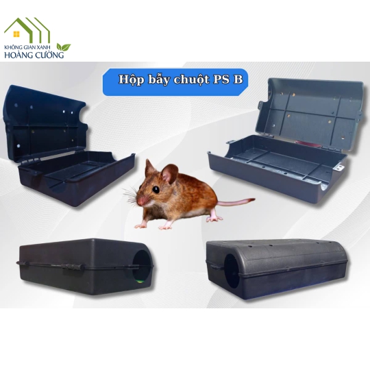 HỘP BẪY CHUỘT PS - B