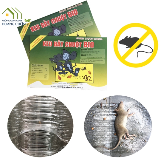 KEO BẪY CHUỘT BIO